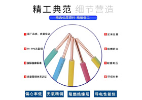 WDZB-BYJ  型號(hào)：0.75mm²²～240mm²²